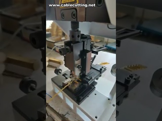 Macchina Crimpatrice per Connettori e Terminali in Rame | Crimpatura Automatica di Cavi
