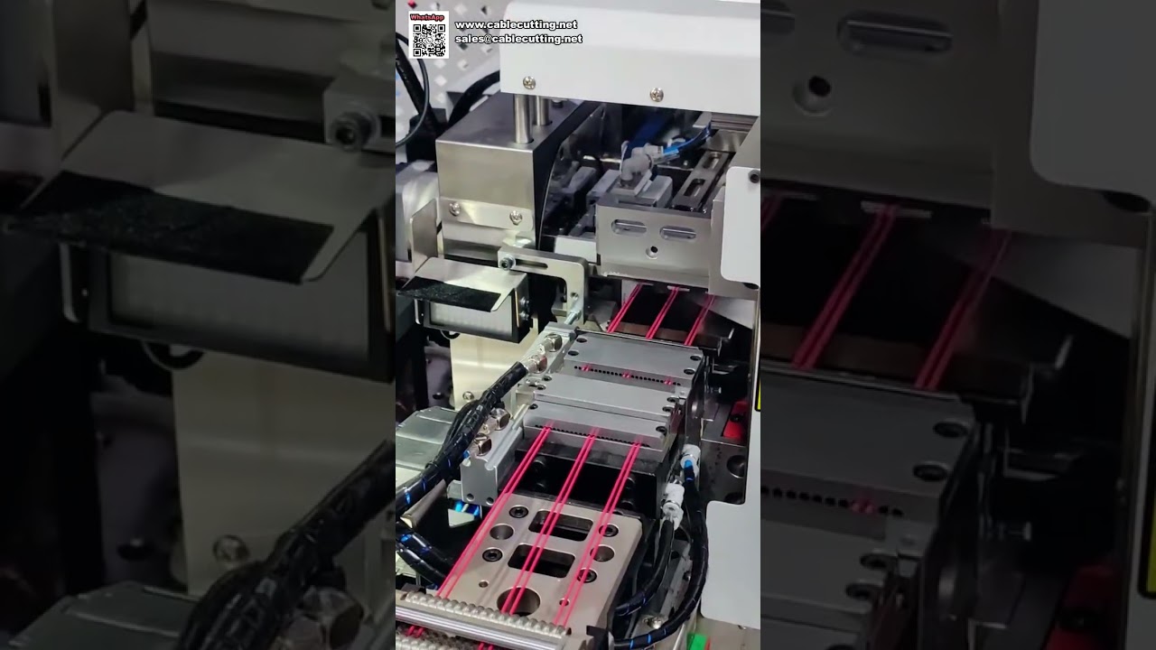 Macchina automatica tutto-in-uno per crimpatura terminali e inserimento alloggiamenti in plastica per cablaggi