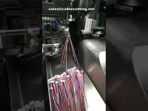 Macchina automatica per inserimento alloggiamenti connettori a guscio plastico