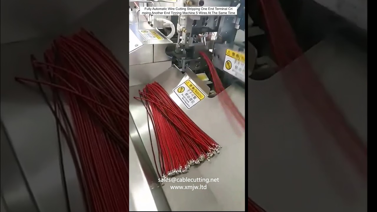 Macchina automatica per taglio, spelatura, crimpatura terminali e stagnatura di 5 cavi