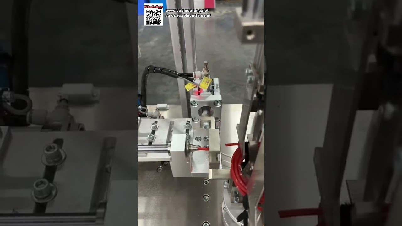 Macchina automatica per fascionatura ad alta efficienza per bobine di filo per trimmer con cartoncino sospeso