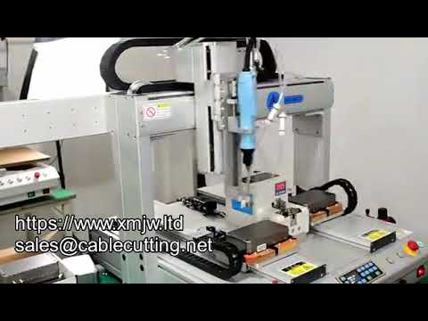 Robot Avvitatore Automatico a 5 Assi da Tavolo per Serraggio Viti con Scarico Automatico