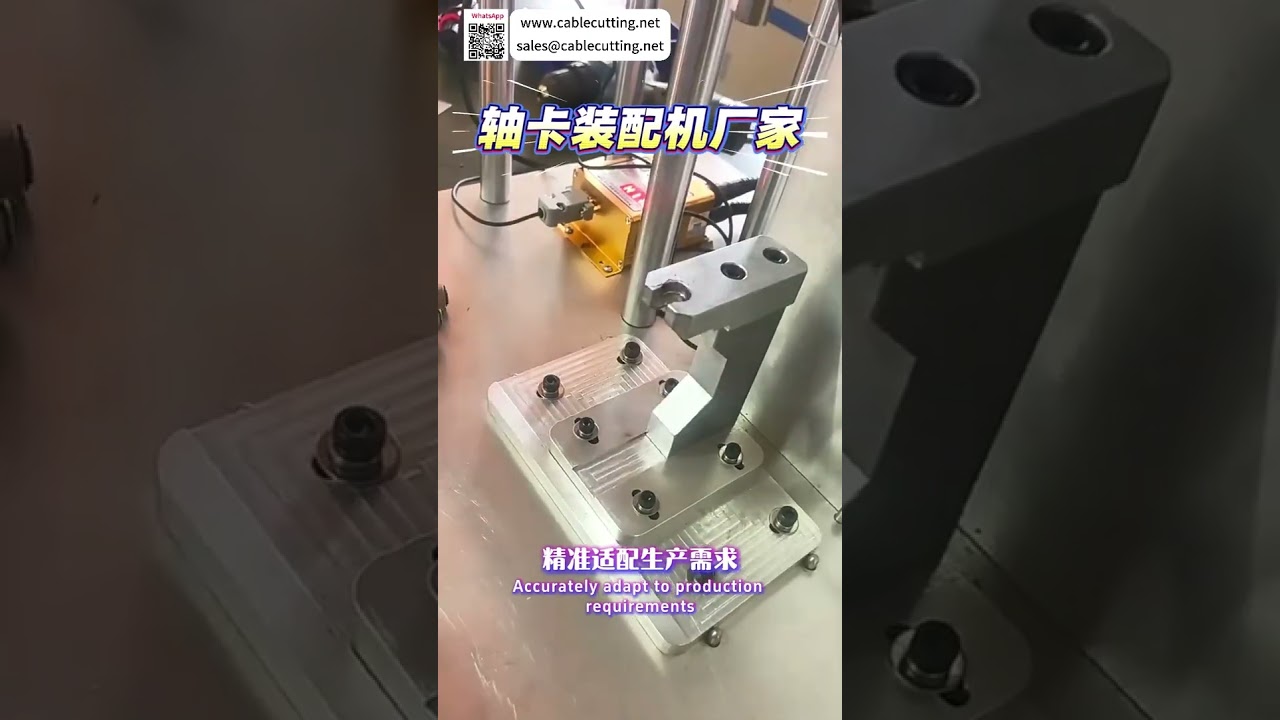 Macchina personalizzata per assemblaggio di circlip su alberi: Sistema di produzione automatizzato standardizzato