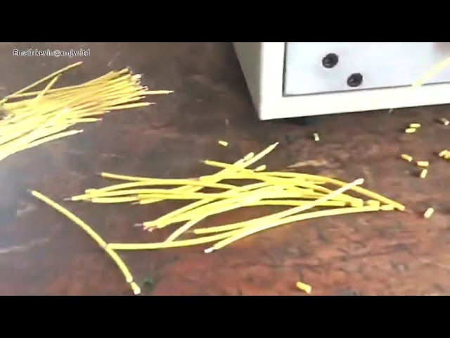 Alimentatore Elettrico per Cavi a Velocità Regolabile - Trasportatore Filo per Spelafili Computerizzato SWT-508C