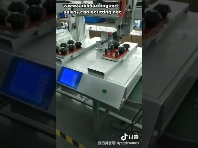 Dosatore a Doppia Piattaforma e Doppio Asse Y: Lavoro Alternato per Massima Produttività
