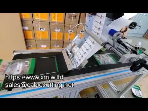 Etichettatrice automatica WPM-300D per bottiglie piatte di birra e accendini - Vendita all'ingrosso
