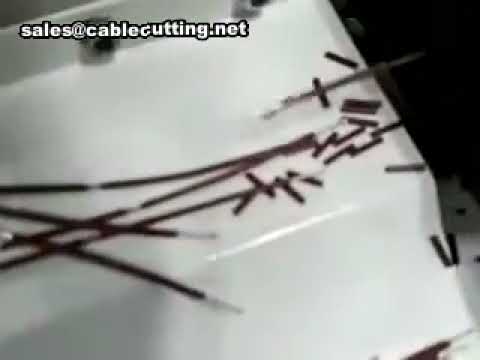 Macchina Spellacavi Automatica: Taglio, Spellatura e Torcitura