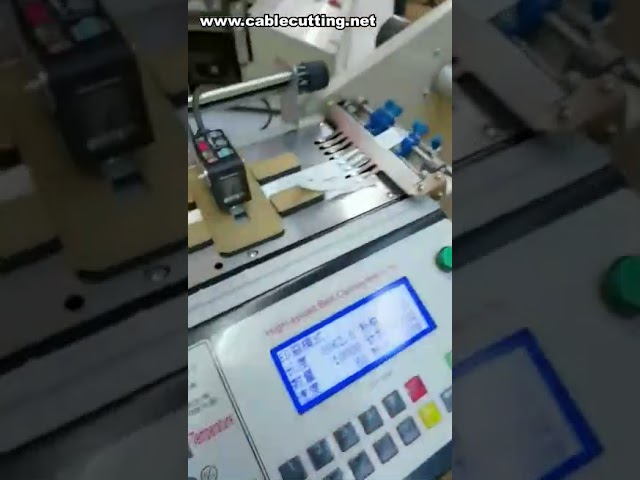 Macchina taglio etichette automatica ad alta velocità: lavorazione caldo e freddo